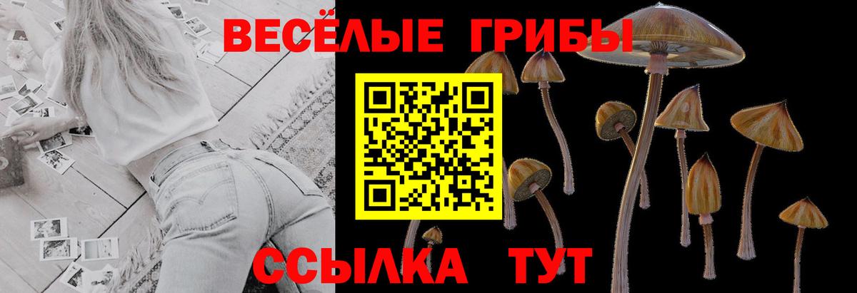 Назрань  Галлюциногенные грибы ЛСД  Вход с VPN 