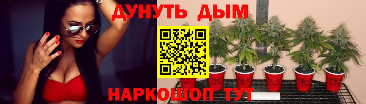 Шишки марихуана ГИДРОПОН Назрань